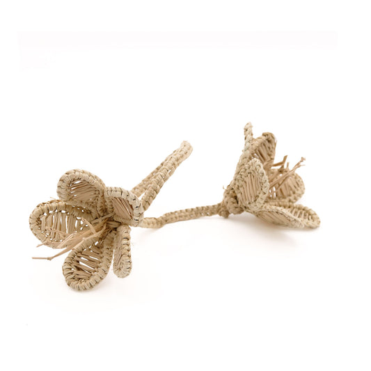 Servilleteros - DUO FLORAL (Lote de 2)