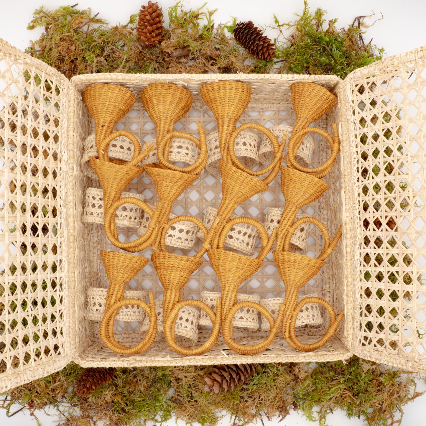 La boite à Cors (Lot de 12 ronds de serviette + 1 boîte offerte)