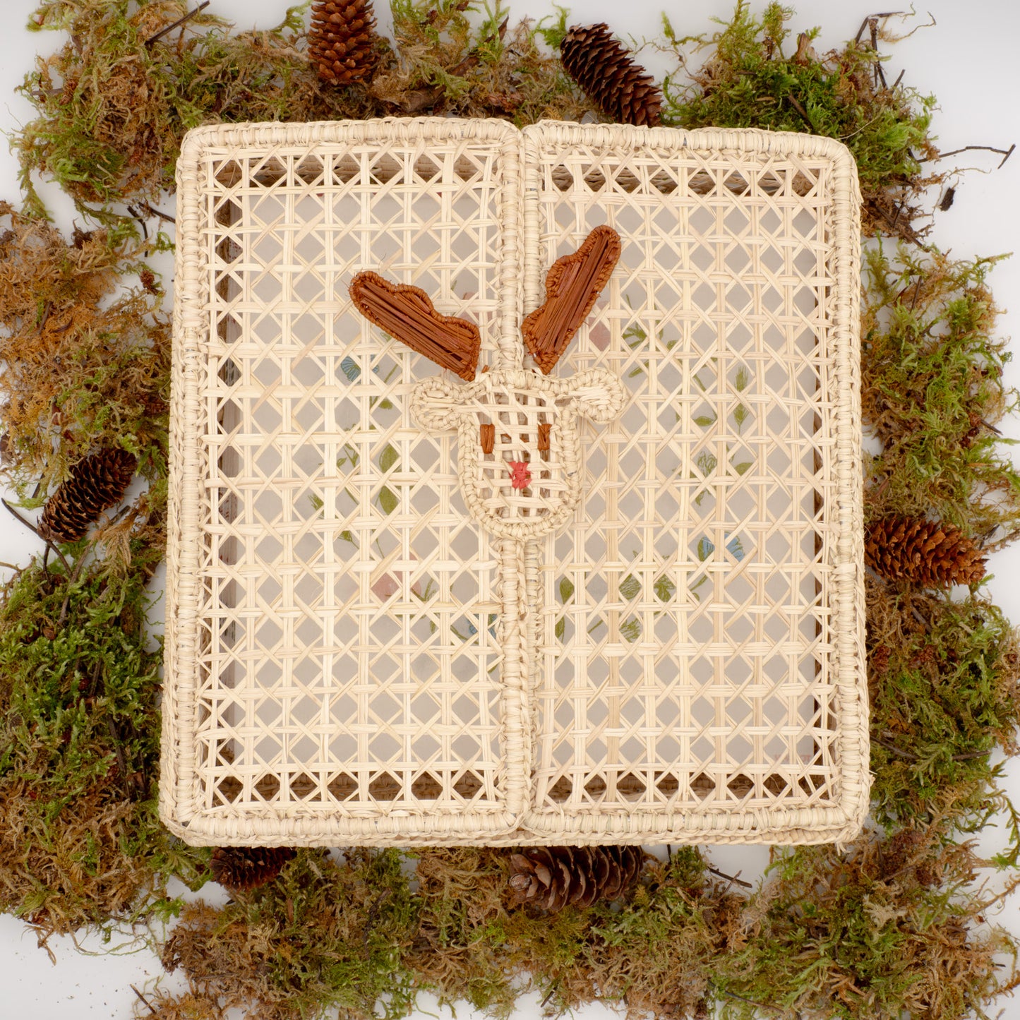 La boite à Cors (Lot de 12 ronds de serviette + 1 boîte offerte)