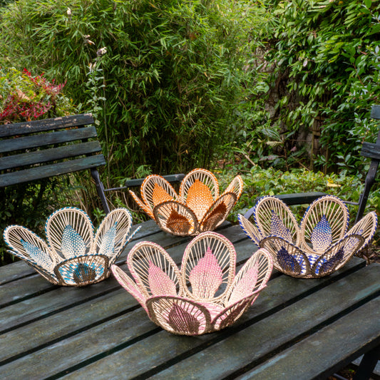 Image des machines à sous Tropezia Palace